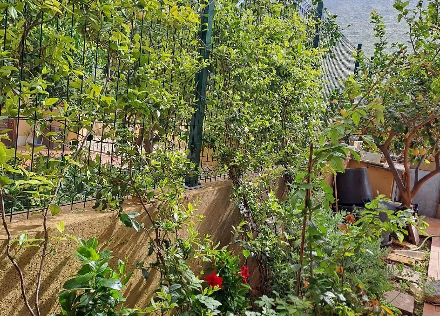 Semesterbostad La Casa Dei Pesci Dipinti Villa Castelluzzo
